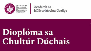 Diopl&oacute;ma sa Chult&uacute;r D&uacute;chais