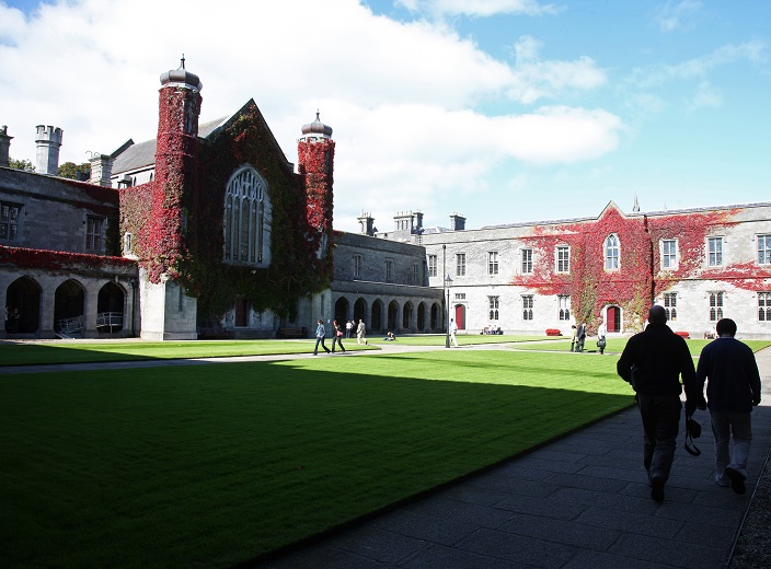 R&aacute;iteas Seirbh&iacute;se 