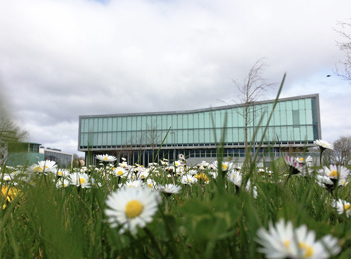 C&uacute;rsa&iacute; Spriocanna Forbartha Inbhuanaithe